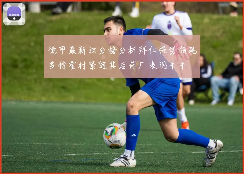 德甲最新积分榜分析拜仁强势领跑多特霍村紧随其后药厂表现平平